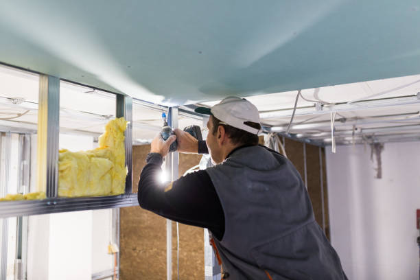 Best Geographic-Specific Insulation Services in USA